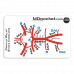 Rapid ID - Stroke Syndromes/Circle of Willis 